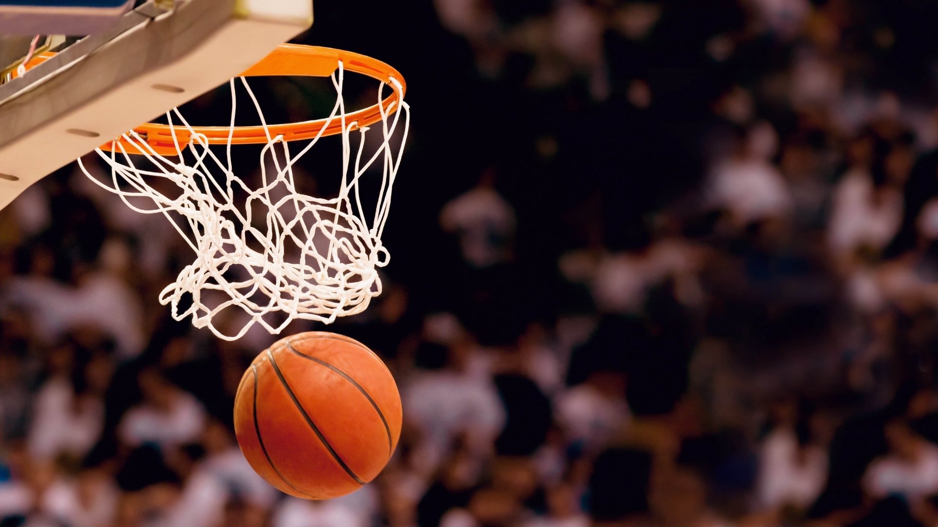 跨界奇观,皇家社会防线告急,NBA与网球赛场惊现足总杯式冷门